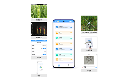 株洲市小麦表型检测仪IN-XM04